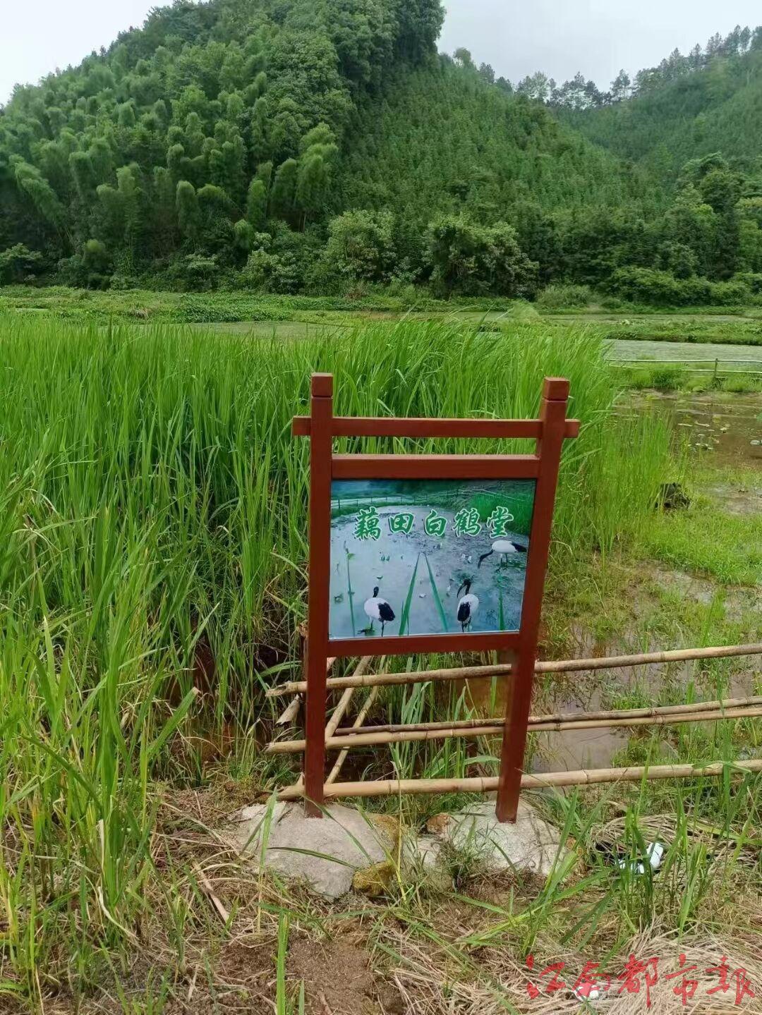 QQ图片20220622155741.jpg QQ图片20220622155741.jpg