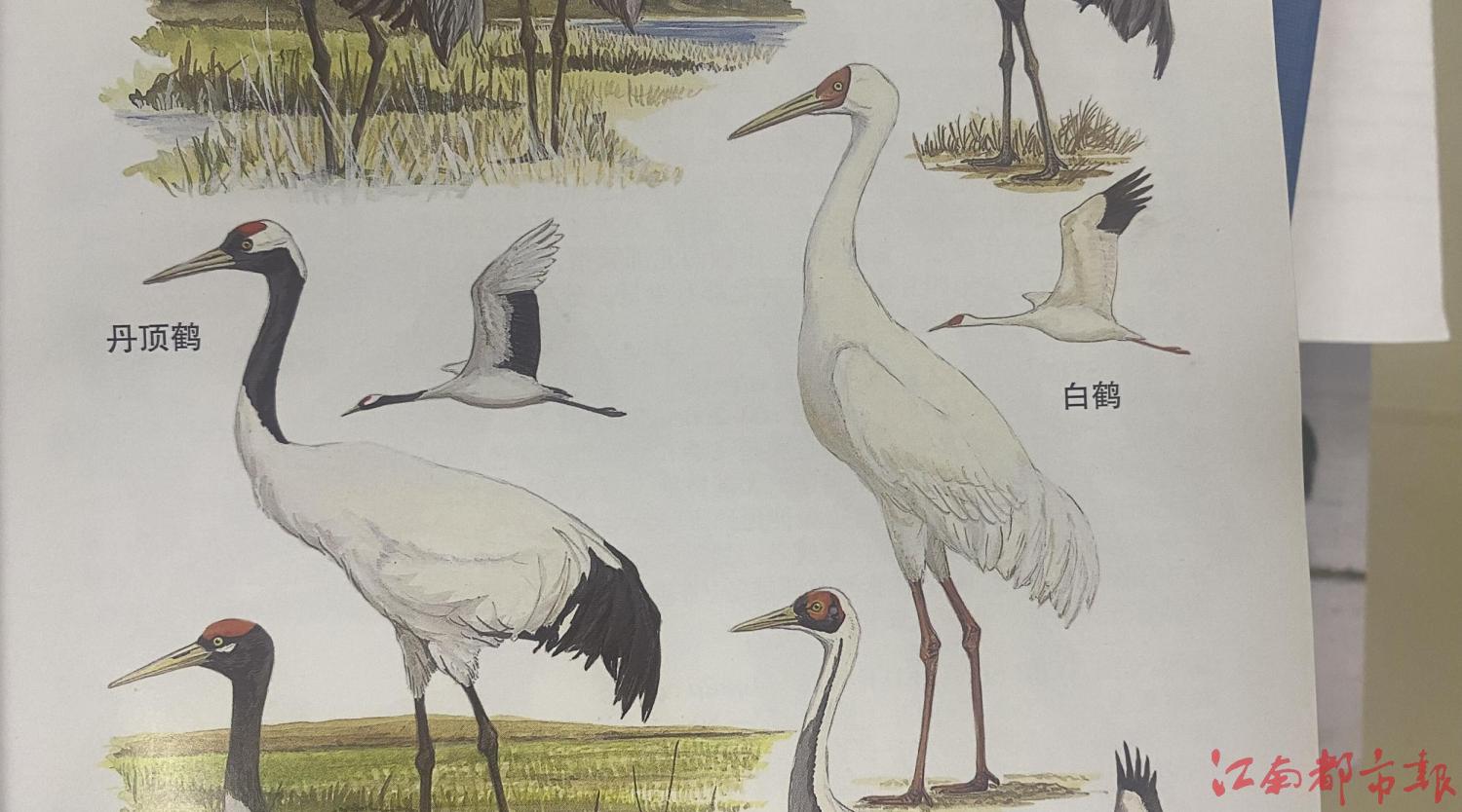 QQ图片20220622155746.jpg QQ图片20220622155746.jpg